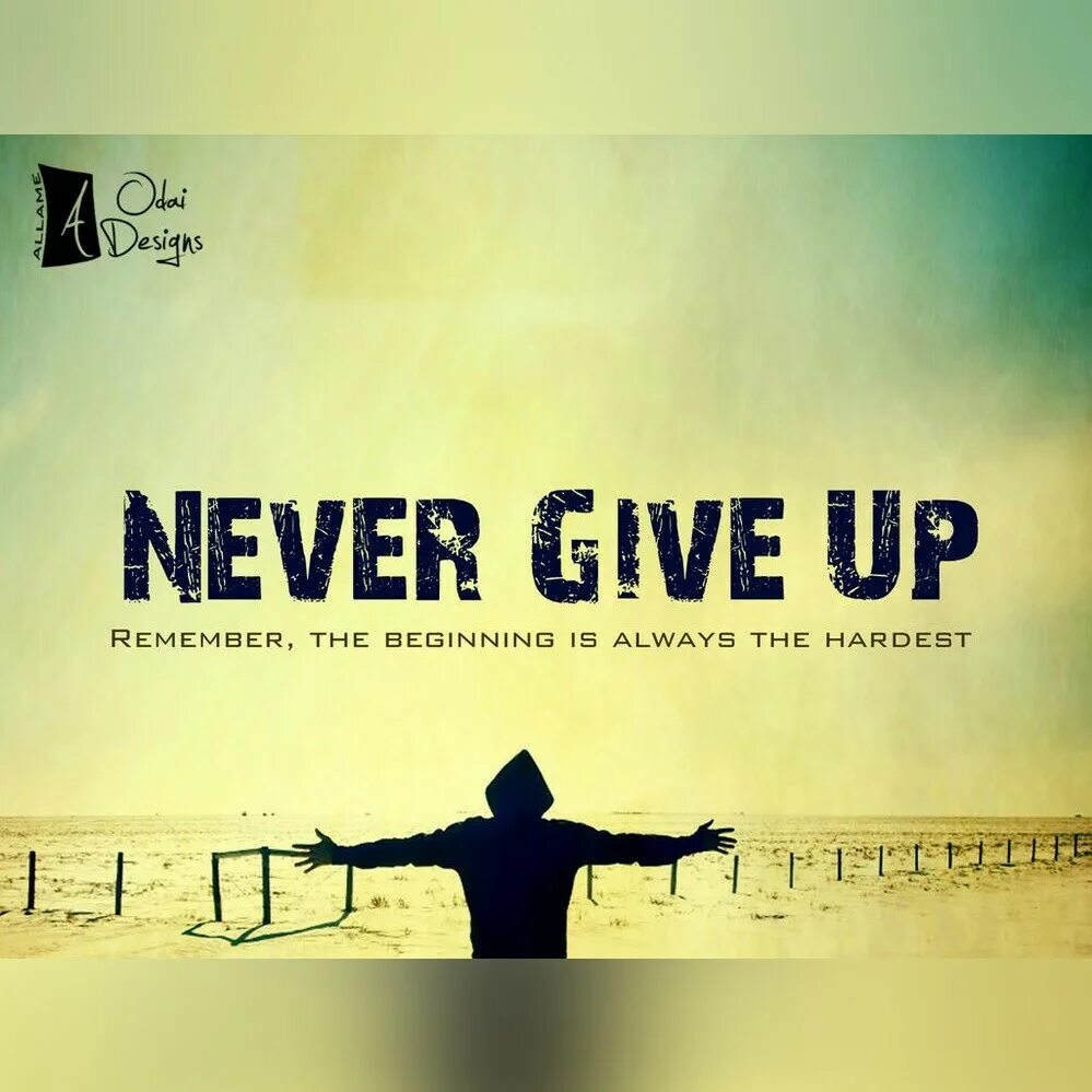 Never live up. Never give up. Never give up картинки. Never give up обои. Never never give up.