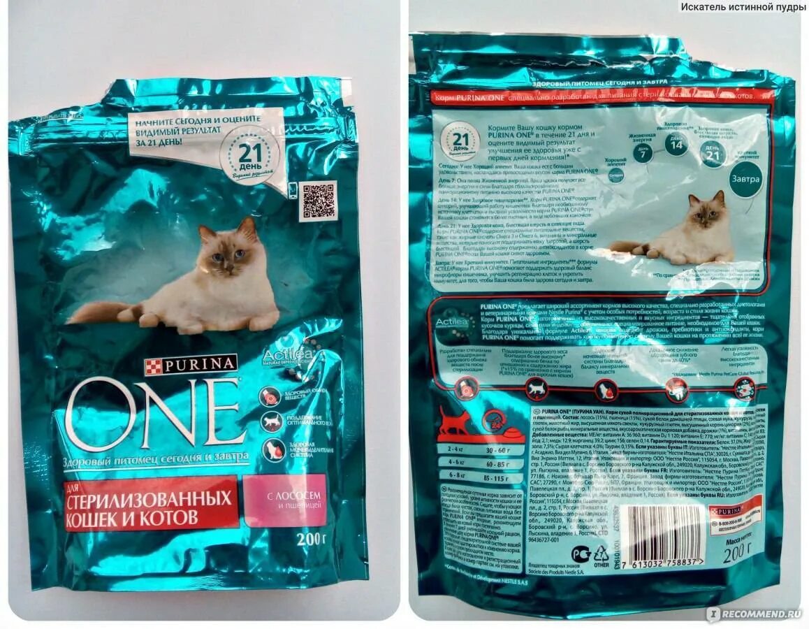 Какой корм для кошек лучше выбрать. Пурина ван. пурина ван жидкий корм. кошачий корм пурина состав. пурина дарлинг для кошек.