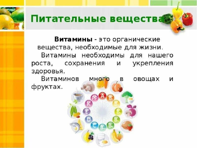 Питательные вещества необходимы для. Питательные вещества витамины. органические питательные вещества и витамины. витамины необходимые для организма питательные вещества. что такое витамины.