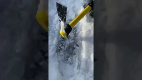 Жизнь виа находки во льдах