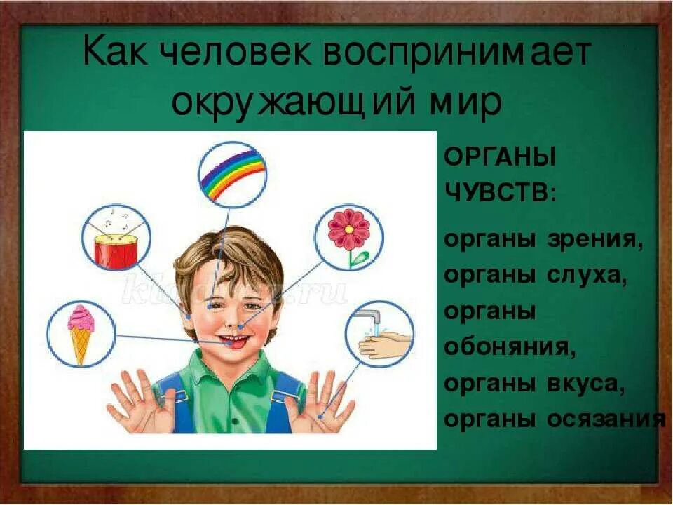 Передача окружающий мир