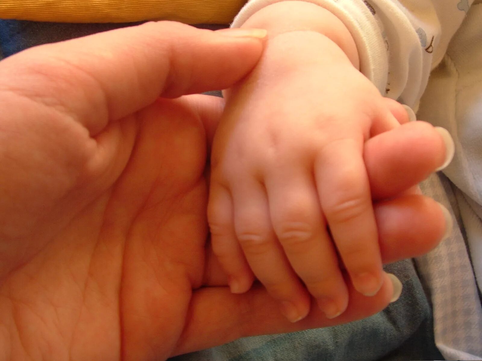 Ребенок на руках. Мать с ребёнком на руках. Новорожденный на руках. Младенец на руках. Новорожденный без мамы