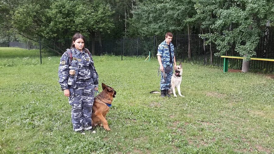 Кинологический колледж теплый стан. Иркутский аграрный техникум кинология. Форма для учёбы на кинолога. Кинолог предметы для поступления. Можно поступить на кинолога после 9.