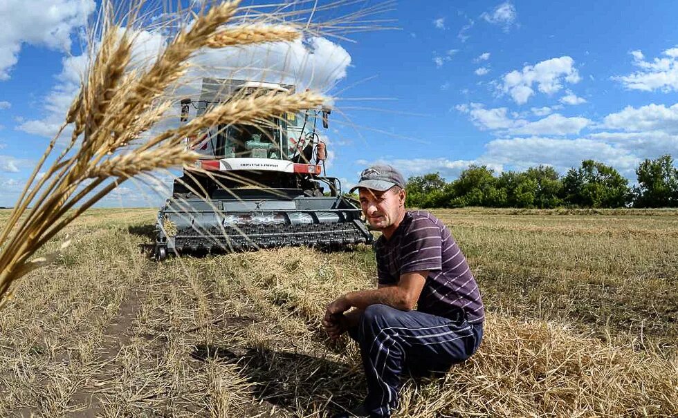 фермерство в одиночку 45