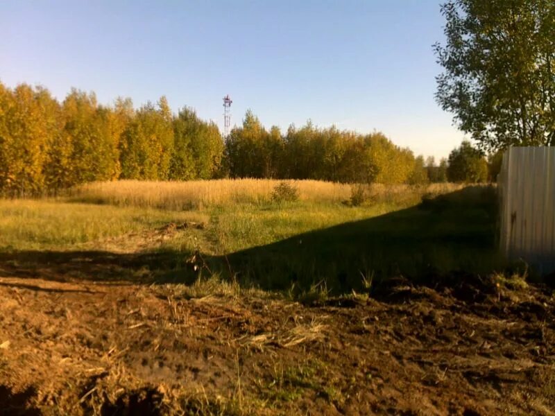 бортнево домодедово. продать участок 10 соток. нестерово (рузский городской округ). николино ярославка. участок земли 10 соток.