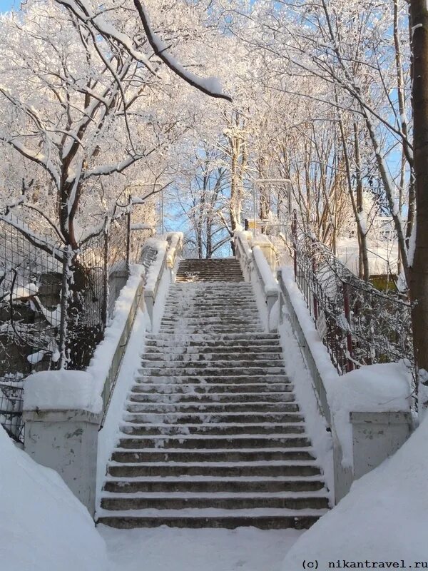 сергей вячеславович костин. волхов лайф. город волхов команда татьяна. город волхов ленинградской области. волхов зимой прогулки.