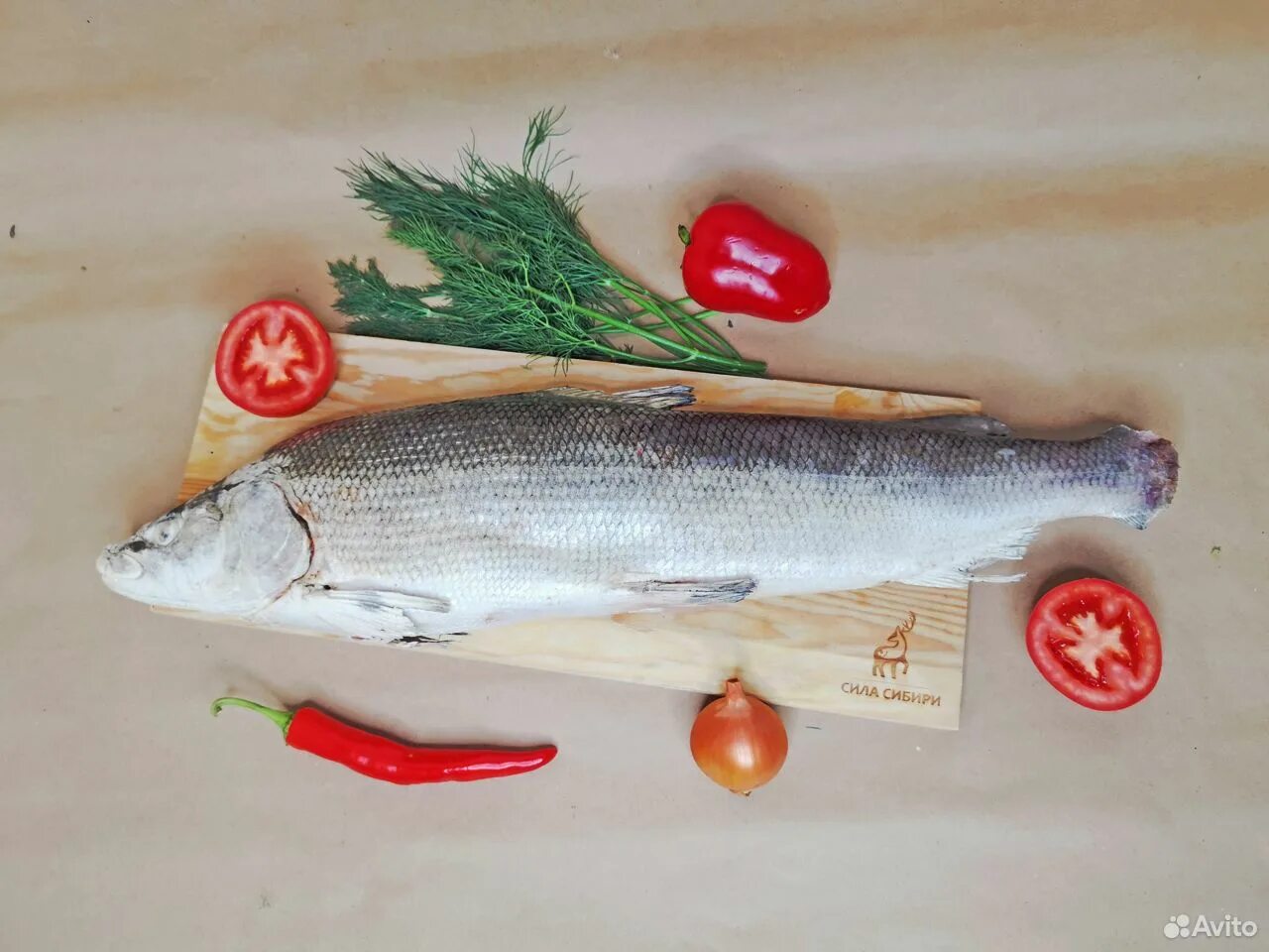 Муксун рыба в упаковке. Муксун фото. Муксун рыба копченая. Муксун рыба. Муксун рыба белая рыба.