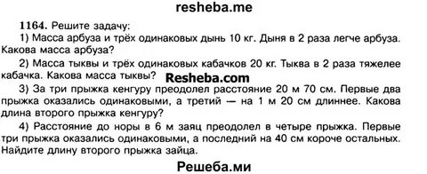 Масса арбуза и дыни 8