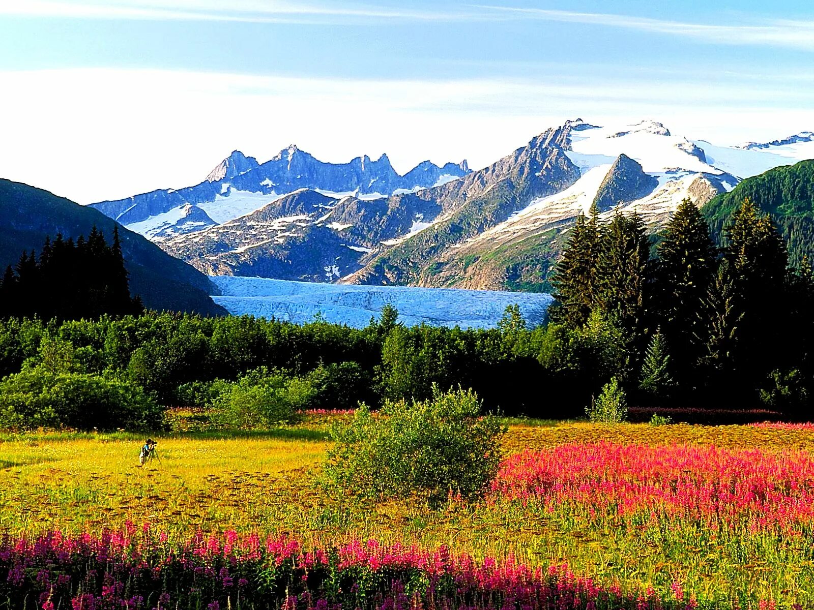 Природа культуры является. Аляска природа. Северная Америка Аляска. Штат Аляска природа. Флора США Аляска.