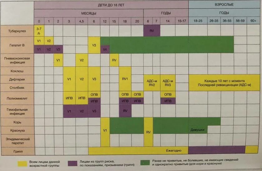 АДС-М прививка график вакцинации. Прививка АДСМ график вакцинации взрослым. АДСМ прививка схема вакцинации. АДС-М прививка график прививок взрослым.