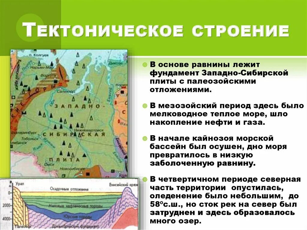 К какой тектонической структуре приурочен