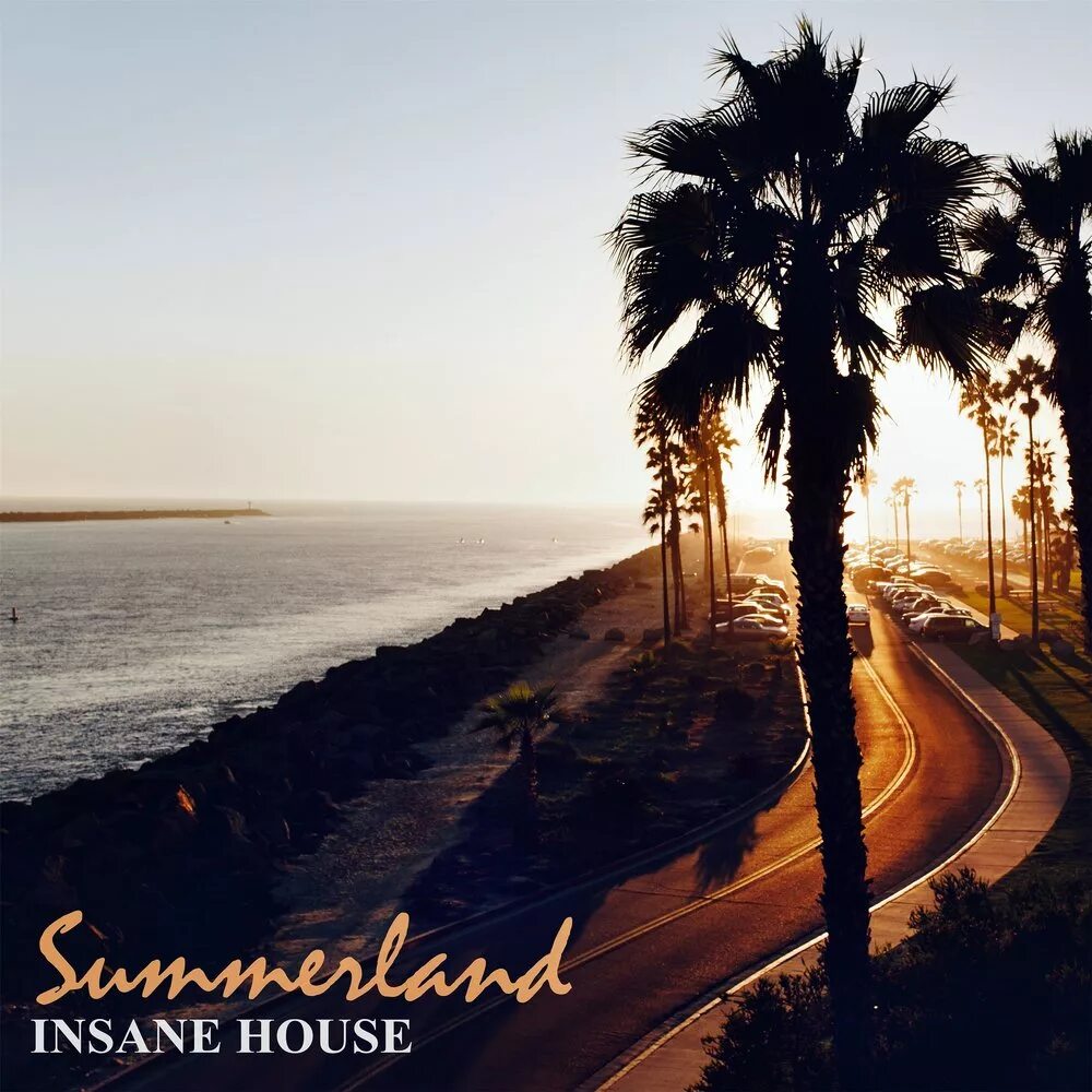 Insane house music. Insane house music. Mad house. Mad house. Insane house music.