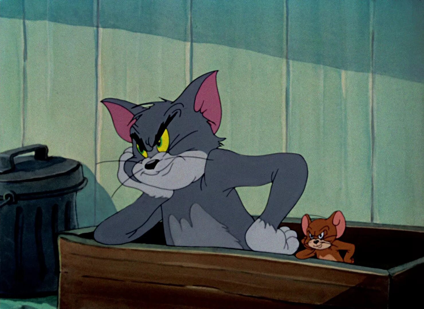 Том из тома и джерри. Tom and Jerry Tom. Кот том и Джерри. Том из том и Джерри. Tommy jeryh.