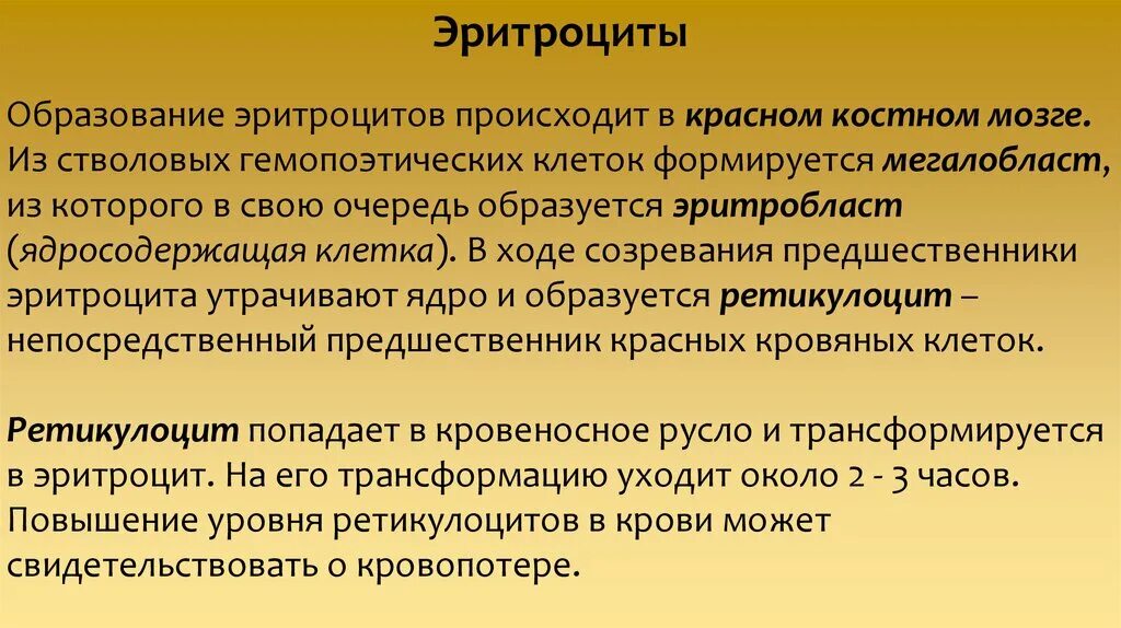 К лингвистике относится