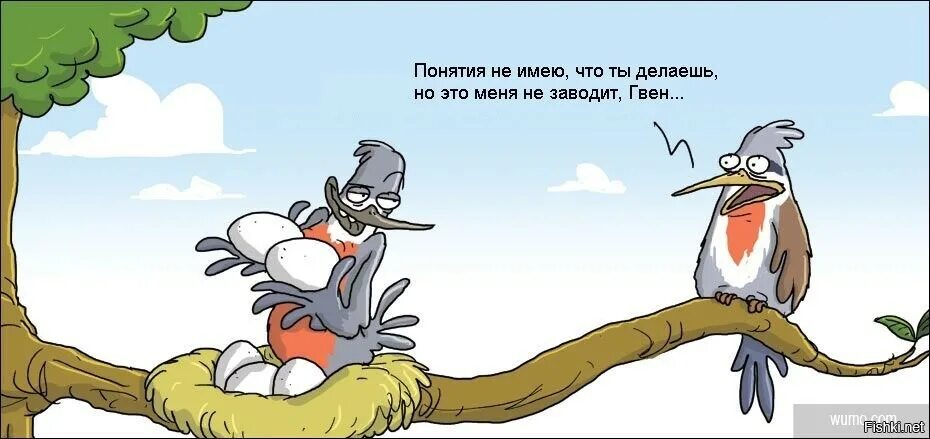 Чего боится мальчик толстого червяка. Карикатуры про птиц. Птички юмор. Анекдоты про птиц. Шутки про птичек.