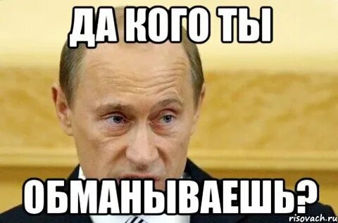 Вы не пытались меня понять