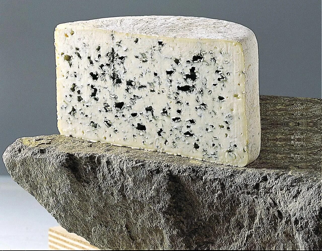 Сыр с плесенью кроссворд. Bleu d’auvergne. сыр блё д&#039;овернь. рокфор. рокфор с плесенью.