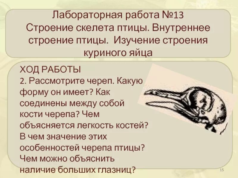 Исследование особенностей скелета птицы лабораторная работа 8. Лабораторная работа изучение строения скелета птицы. Абораторная работа "строение скелета птицы". Лабораторная работа строение птиц. Лабораторная работа скелет птицы.