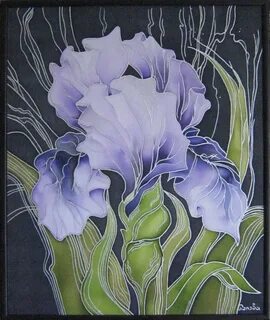 Iris graphics отзывы