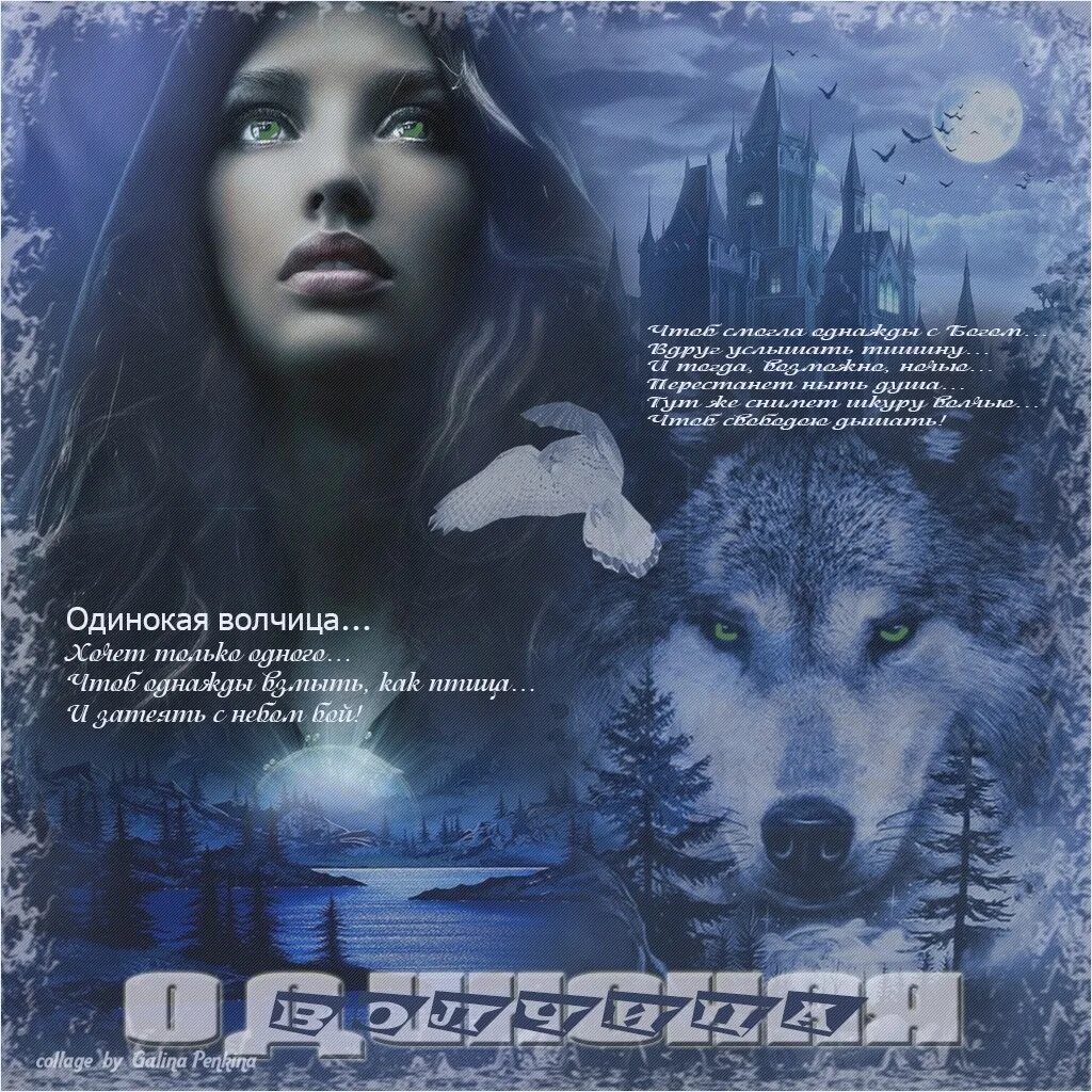 Песнь одинокая волчица. Одинокая волчица. Волчица и девушка. Я одинокая волчица. Картинки одинокой волчицы.