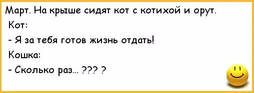 Лично за тебя жизнь свою готов. Шутки про мартовских котов. Март коты анекдот. Сидит на крыше анекдот.