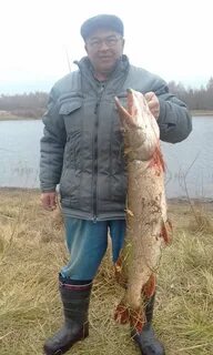 Рязанская рыба