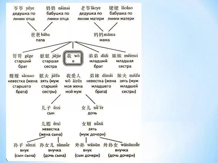 Типы предложений в китайском. Схема построения китайского предложения. Глаголы в китайском языке. Языки родственные китайскому. Грамматика китайского языка.