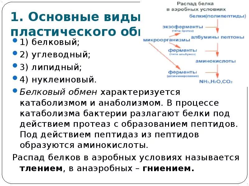 Методы изучения углеводного обмена бактерий. Методы изучения углеводного обмена микроорганизмов .. Методы изучения белкового и углеводного обмена бактерий. Методы изучения белкового обмена бактерий. Участвует в белковом обмене