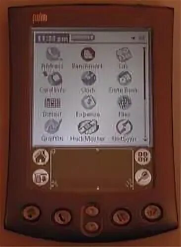 Palm power. Palm power. Palm power. Palm power. Palm power.