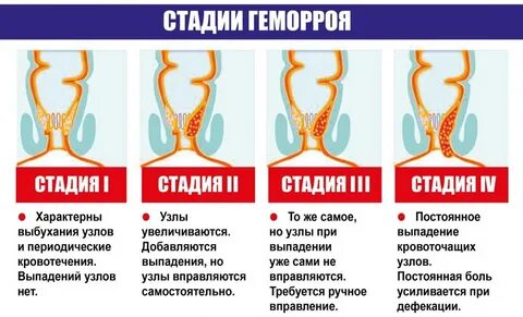 Танымал транспорно актрисалар