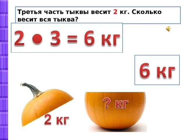 Масса тыквы 4