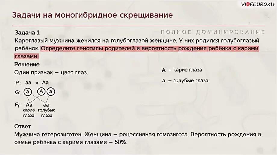 Решение задач по биологии 10 класс генетика. Генетика задачи 9 класс моногибридное скрещивание. Решение задач на генетику 9 класс на моногибридное скрещивание. Решение задач по генетике 9 моногибридное скрещивание. Биология задачи на моногибридное скрещивание.