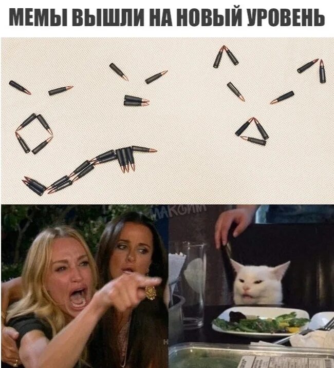 Мем про девушку и кота. Мемы с котом и девушками. мем кот и женщина кричит. орущий кот. орущий кот мем.