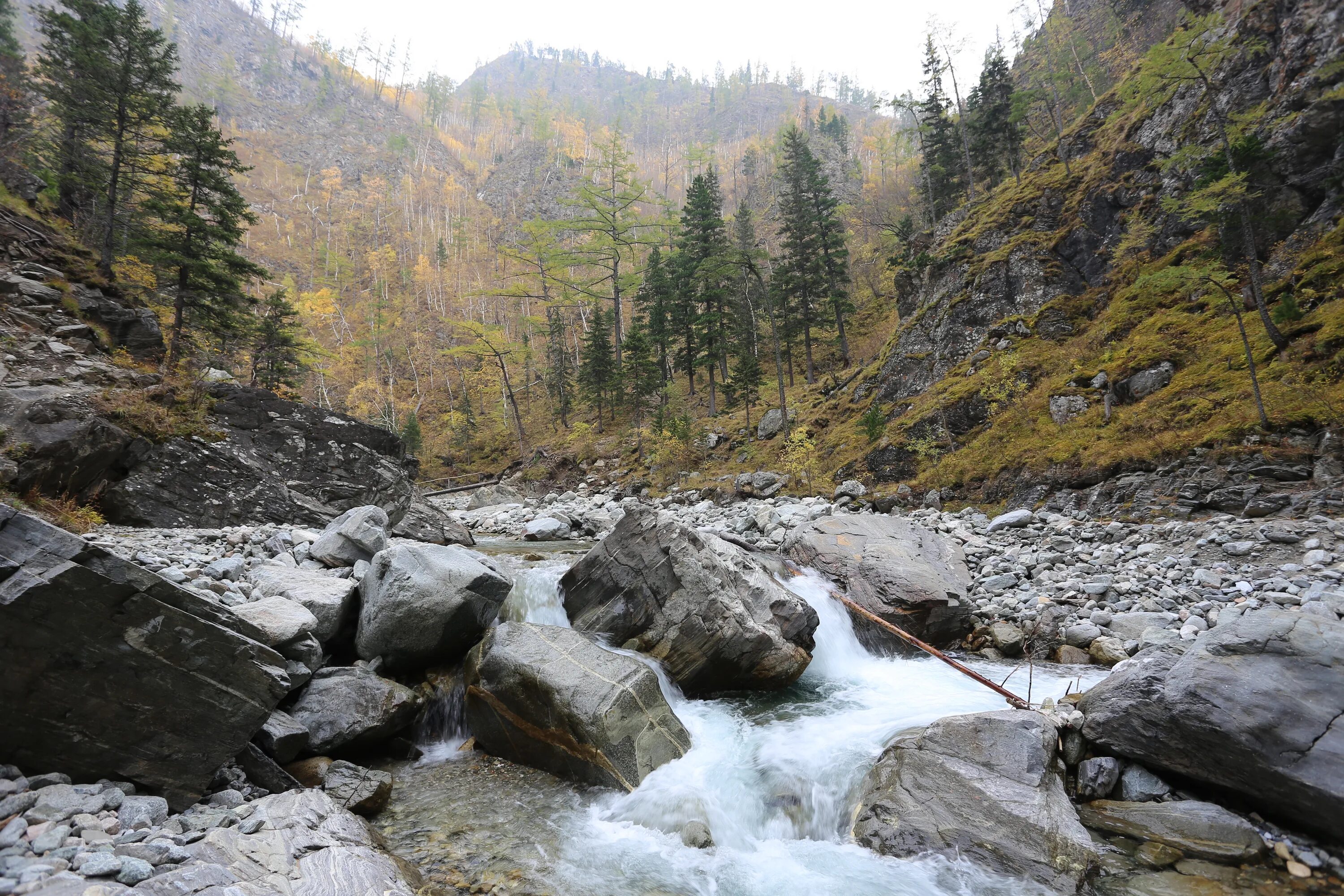 Аршан селевой поток 2014. Дарьяльское ущелье оползень. Сель на иссык куле. Аршан бурятия сель. Река кынгарга аршан.