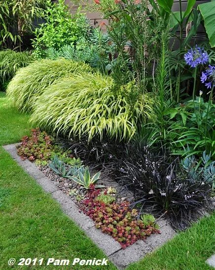 Liriope muscari Landscaping plants, Liriope muscari, Shade plants