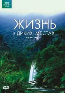 Bbc жизнь
