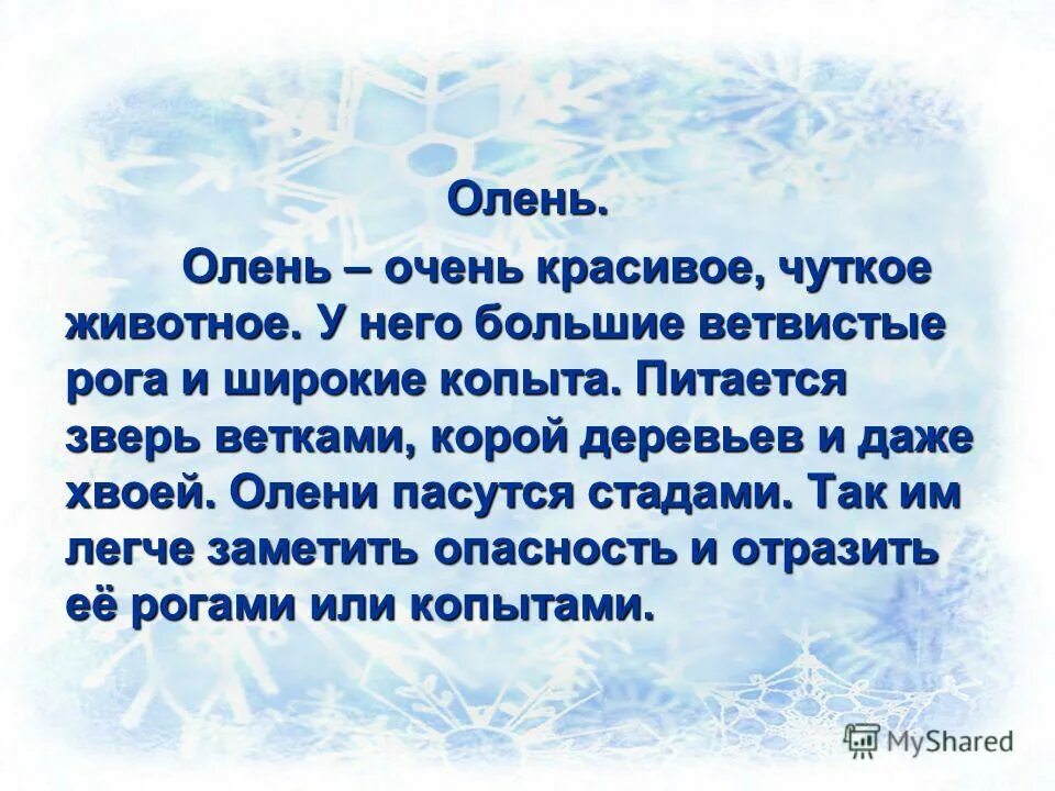 Составить научно познавательный. Научный рассказ про оленя. текст про оленя. познавательный текст про оленя. сочинение про оленя.
