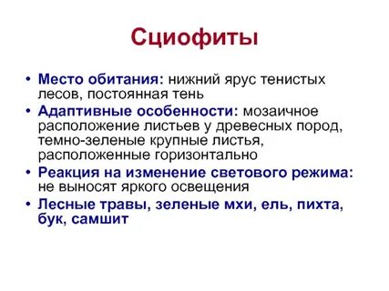 Сциофиты примеры