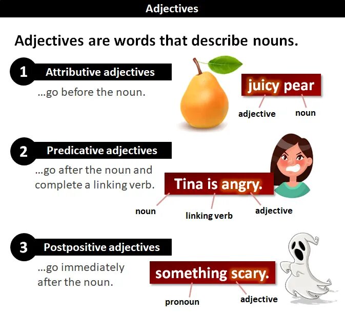Derived nouns examples. Noun verb adjective. Types of attributive adjectives правила. Adjective noun примеры. Adjective after noun.