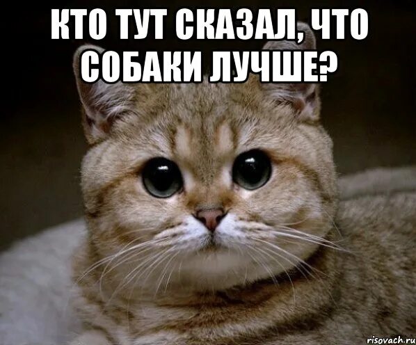 Что значит шутить