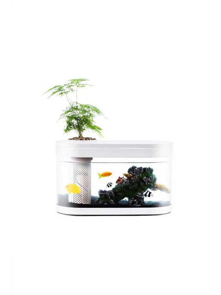 Mijia smart fish tank. Xiaomi mijia аквариум. акваферма xiaomi geometry fish tank aquaponics ecosystem c180 standart. умный аквариум descriptive geometry smart modular fish tank (amphibious edition, 30l). аква-ферма xiaomi descriptive geometry amphibious fish tank (hf-jhygqc001).