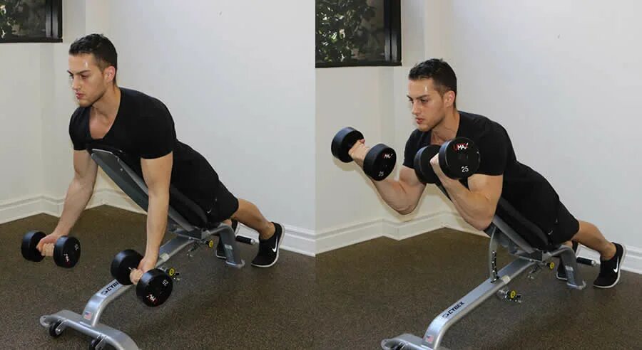 Curl передать. Incline Hammer Curls. DB Hammer Curl. Многопоточный Curl. Bicep Curl Elbow on Bench.