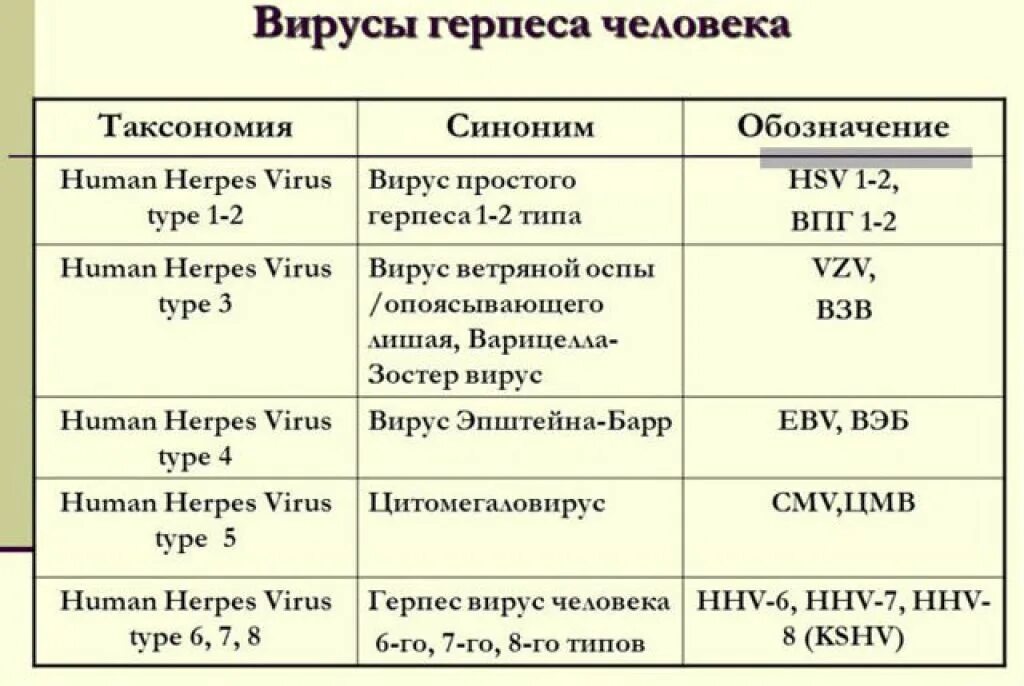 Вирус простого герпеса 1 2 6 типа. Вирус простого герпеса типы. Вирус простого герпеса обозначение. Симптомы герпес вирус герпеса 1 и 2 типа. Герпес виды лечения