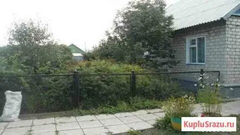 Недвижимость борзя
