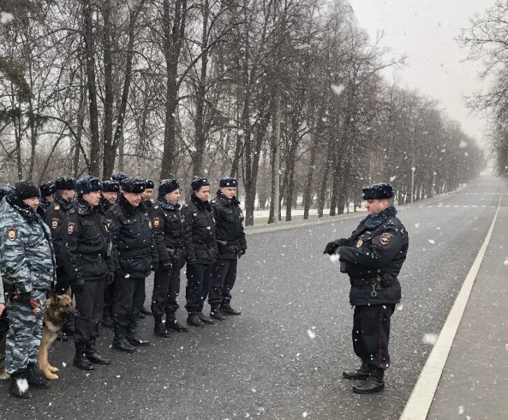 Охрана общественного порядка овд