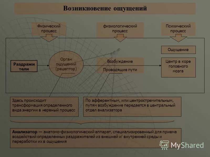 Физические ощущения это. Процесс возникновения ощущений. Психический процесс ощущение. Возникновение ощущений схема. Физиологический процесс ощущений.