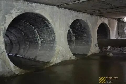 Коллекторы ростов
