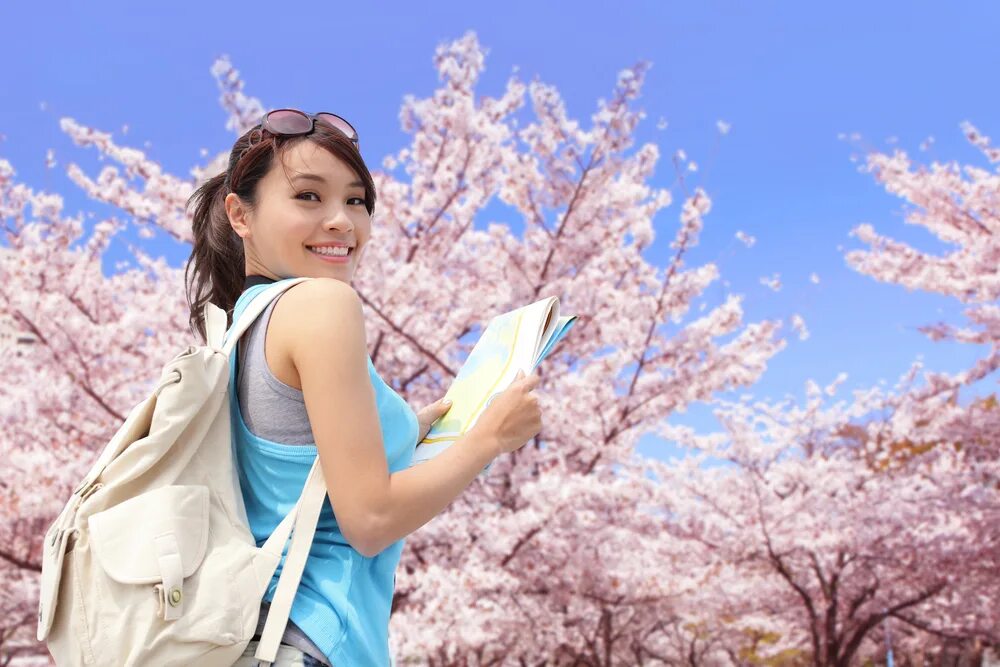 Spring travel