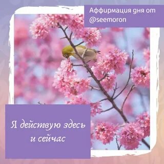 Слушать позитивные аффирмации на день