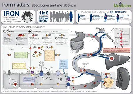 Iron supplements: absorption and utilisation Medical Laboratory Scientist, ...